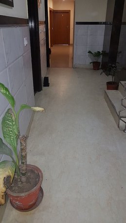 Imagen de los interiores del Hotel Green Star. Foto 11