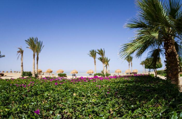 Imagen general del Hotel Green Sudr Resort. Foto 13