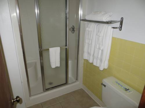 Imagen de la habitación del Hotel Green Valley Lodge, Nashville. Foto 3