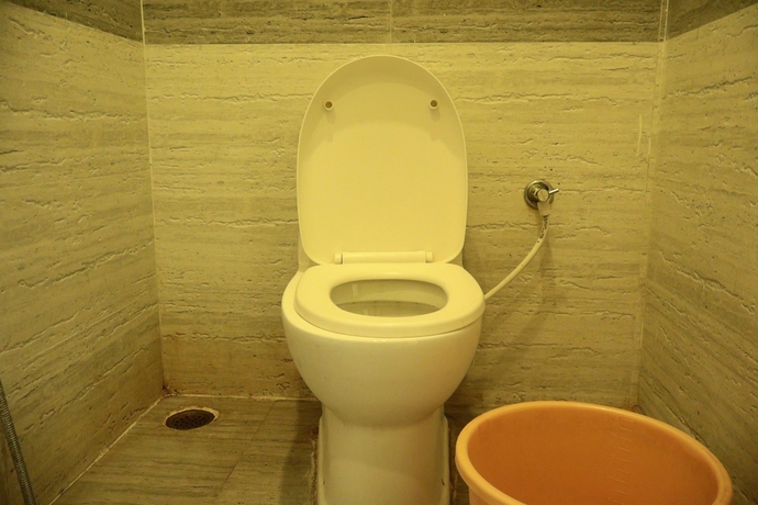 Imagen de la habitación del Hotel Green Valley Palace. Foto 15