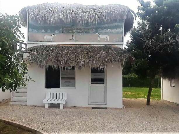 Imagen general del Hotel Green Village Bayahibe. Foto 11