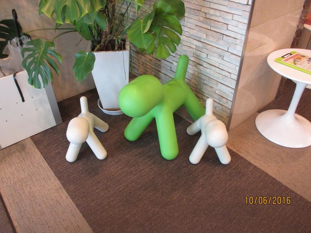 Imagen de los interiores del Hotel Green With. Foto 20