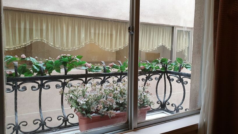 Imagen general del Hotel Green World Flora Annex. Foto 9