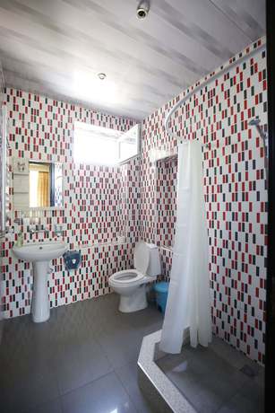 Imagen de la habitación del Hotel Green flower hotel. Foto 9