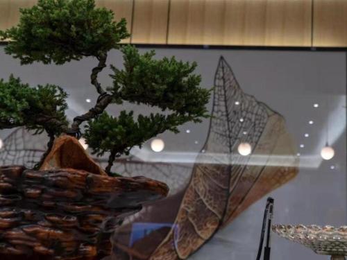 Imagen general del Hotel GreenTree Inn Express Datong High-Speed Railway Station Old City Wall. Foto 11