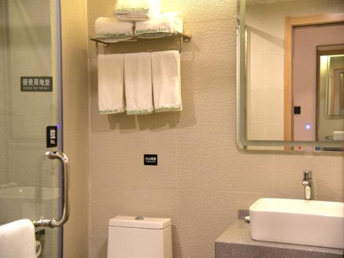 Imagen general del Hotel GreenTree Inn Express Heyuan N1 High Fountain. Foto 11