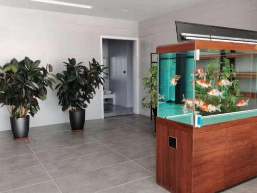 Imagen general del Hotel GreenTree Inn Express Liaoning Jinzhou Bijia Mountain. Foto 5