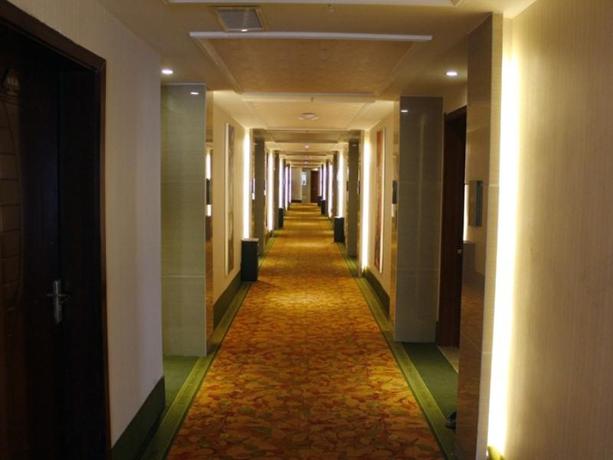 Imagen de la habitación del Hotel GreenTree Inn Hefei Bozhou Rd Jindi Building. Foto 4