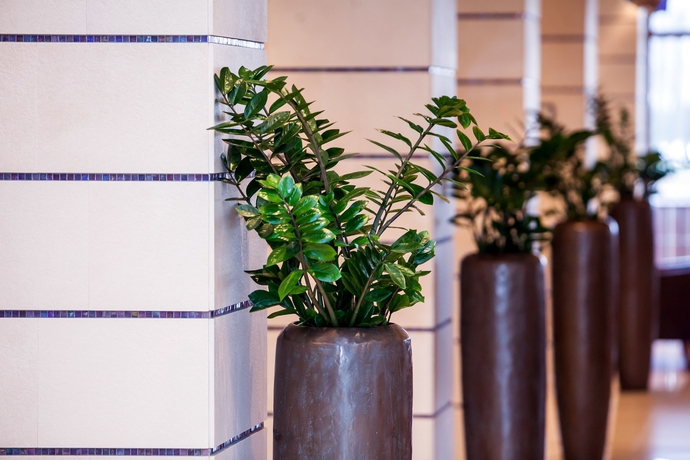 Imagen de los interiores del Hotel Greenfield Golf and Spa. Foto 18