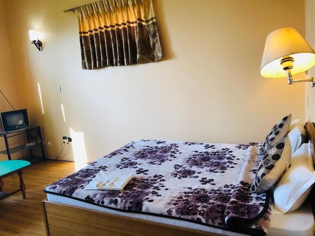 Imagen de la habitación del Hotel Greenland. Foto 7