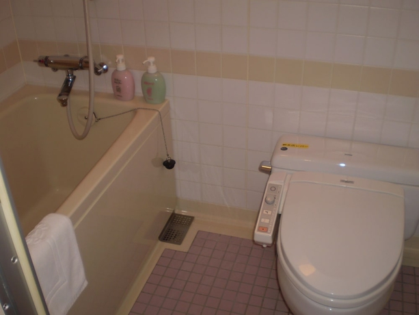 Imagen de la habitación del Hotel Greenpia Onuma. Foto 8
