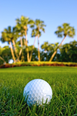 Imagen de los interiores del Hotel Greenpoint Kissimmee. Foto 10