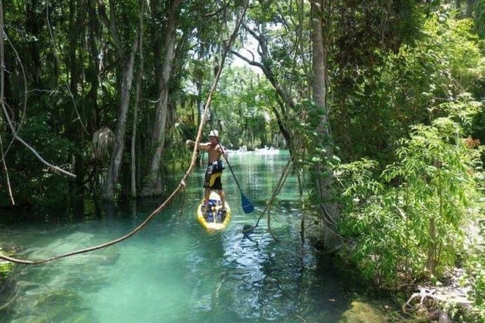 Imagen de los interiores del Hotel Greenpoint Kissimmee. Foto 11