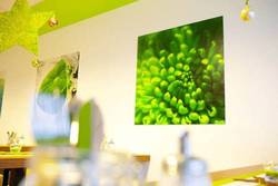 Imagen general del Hotel Greenrooms. Foto 24