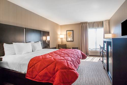 Imagen de la habitación del Hotel Greenstay Inn and Suites Courtview. Foto 3