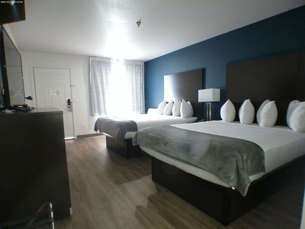 Imagen de la habitación del Hotel Greentree Inn Holbrook. Foto 16