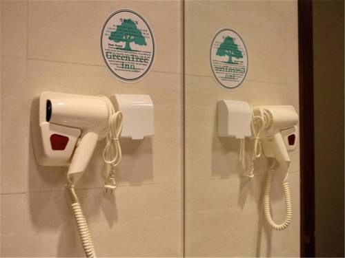 Imagen de la habitación del Hotel Greentree Inn Shanghai Jiading Anting Motor City Express. Foto 6