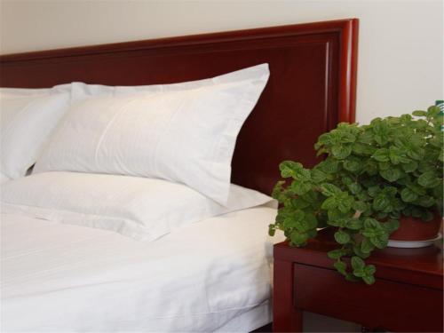 Imagen de la habitación del Hotel Greentree Inn Tianjin Jinnan Shuanglin Metro Station Express. Foto 8