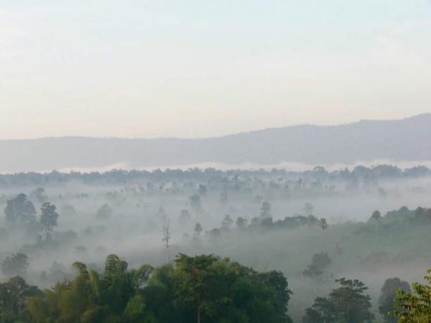 Imagen de la habitación del Hotel Greenway Forest View. Foto 8