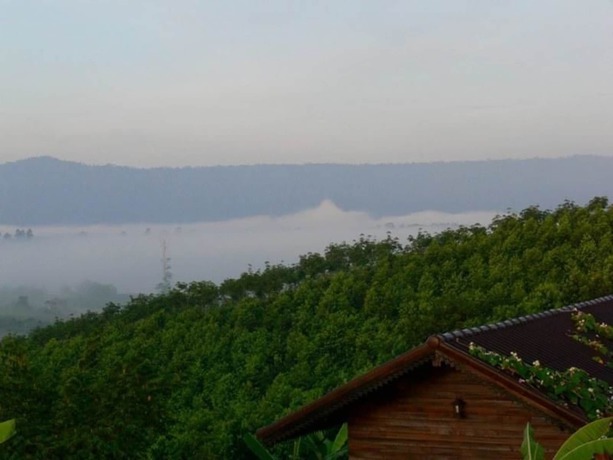 Imagen general del Hotel Greenway Forest View. Foto 4