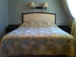 Imagen general del Hotel Greenway Park Hotel. Foto 3