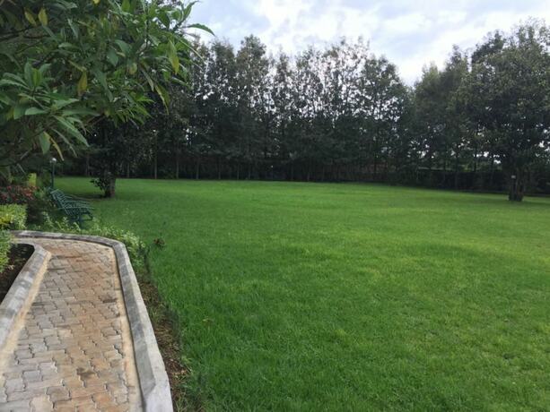 Imagen general del Hotel Greenwoods Resort and Campsite. Foto 2