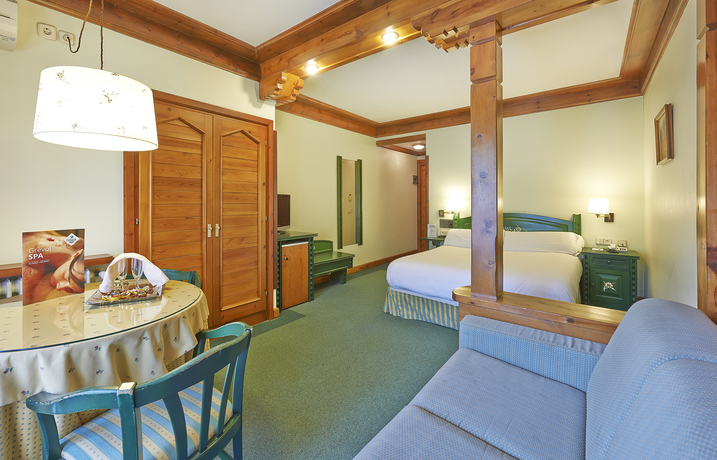 Imagen de la habitación del Hotel Grèvol Spa. Foto 4