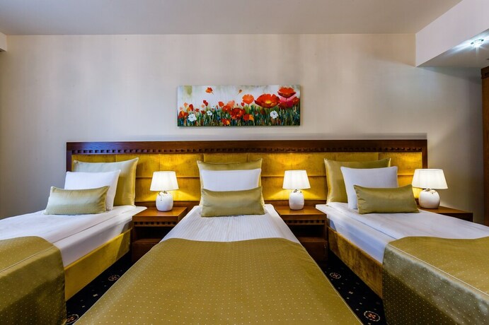 Imagen de la habitación del Hotel Grein. Foto 11