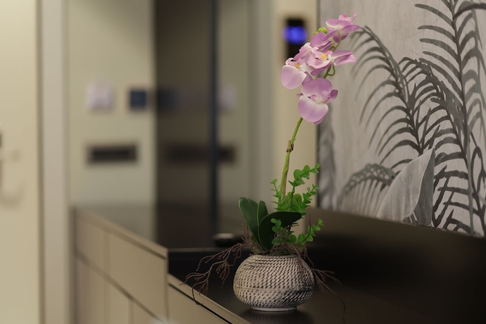 Imagen de la habitación del Hotel Gremmy Boutique. Foto 14