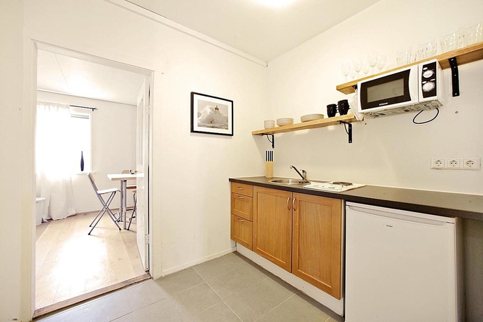 Imagen de la habitación del Hotel Grettisgata. Foto 4