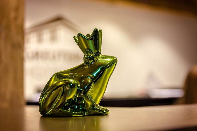 Imagen de los interiores del Hotel Greuterhof. Foto 20