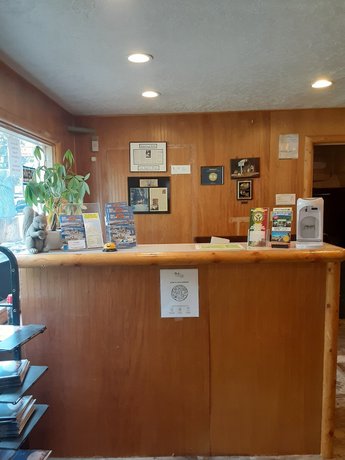 Imagen de los interiores del Hotel Grey Squirrel Resort. Foto 20