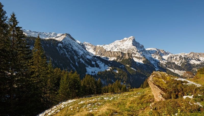 Imagen general del Hotel Griesalp Hotels. Foto 2