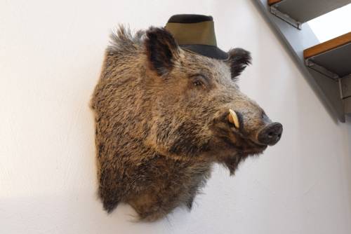 Imagen de la habitación del Hotel Griesbräu Zu Murnau. Foto 3