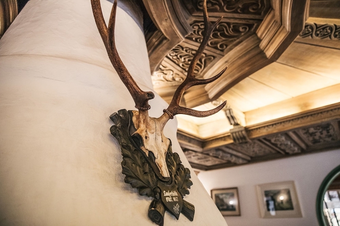 Imagen de los interiores del Hotel Grieshof. Foto 19