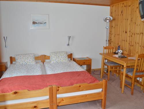 Imagen de la habitación del Hotel Grimsel. Foto 12
