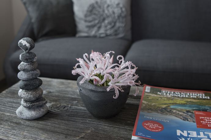 Imagen de los interiores del Hotel Grimsel Passh&ouml;he. Foto 20