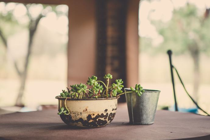 Imagen del bar/restaurante del Hotel Grincourt. Foto 4
