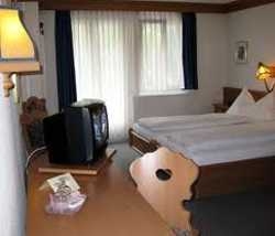 Imagen de los interiores del Hotel Grindelwalderhof. Foto 2