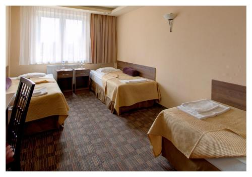 Imagen de la habitación del Hotel Gringo. Foto 8