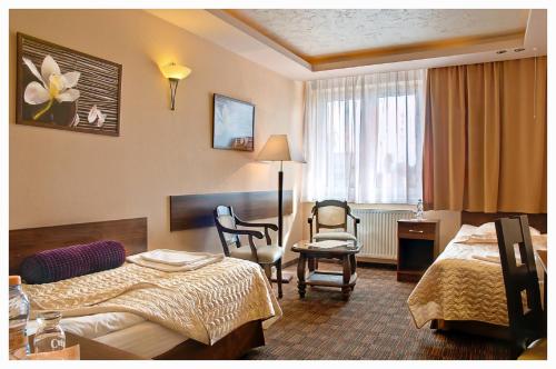 Imagen de la habitación del Hotel Gringo. Foto 9