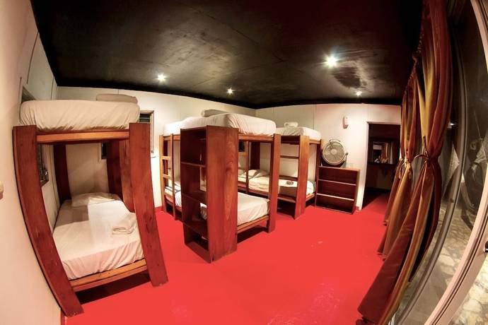 Imagen de la habitación del Hotel Gringo Perdido. Foto 19