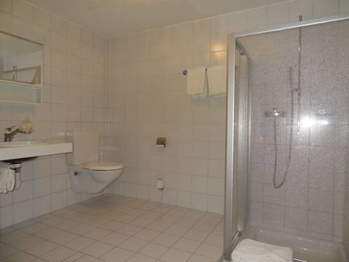 Imagen de la habitación del Hotel Grischalodge. Foto 3