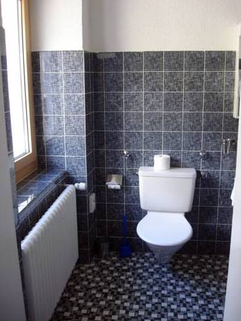 Imagen de la habitación del Hotel Grischuna. Foto 12