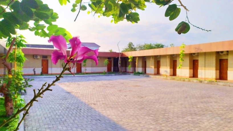 Imagen general del Hotel Griya Alisha. Foto 1