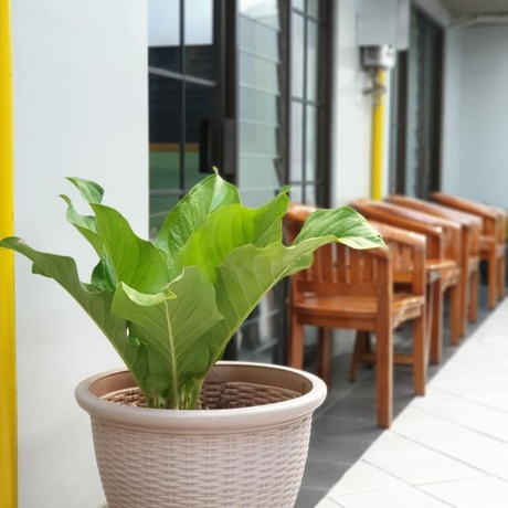 Imagen general del Hotel Griya Wijaya. Foto 7