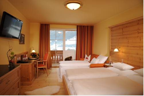 Imagen de la habitación del Hotel Grizzly Sport & Motorrad Resort. Foto 5