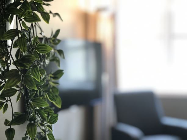 Imagen de la habitación del Hotel Grongl. Foto 11