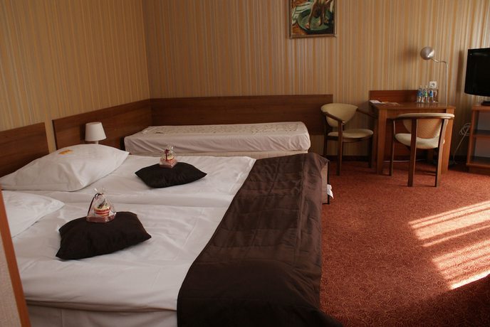 Imagen de la habitación del Hotel Grot. Foto 3