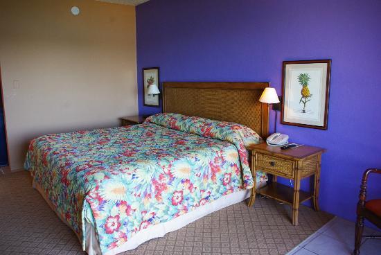 Imagen de la habitación del Hotel Grotto Bay Beach Resort. Foto 6